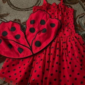 Girls Size 14 years old Stella McCartney lady bug costume *like new*